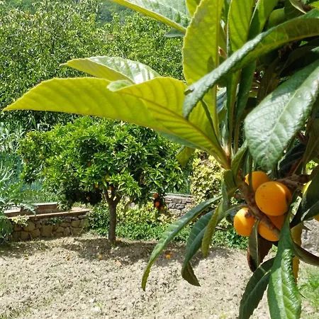 Antica Dimora Del Sole * Camerota
